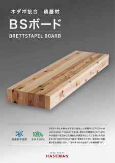 新商品「ＢＳボード（現・DLTパネル）」 WEBページ開設のお知らせ
